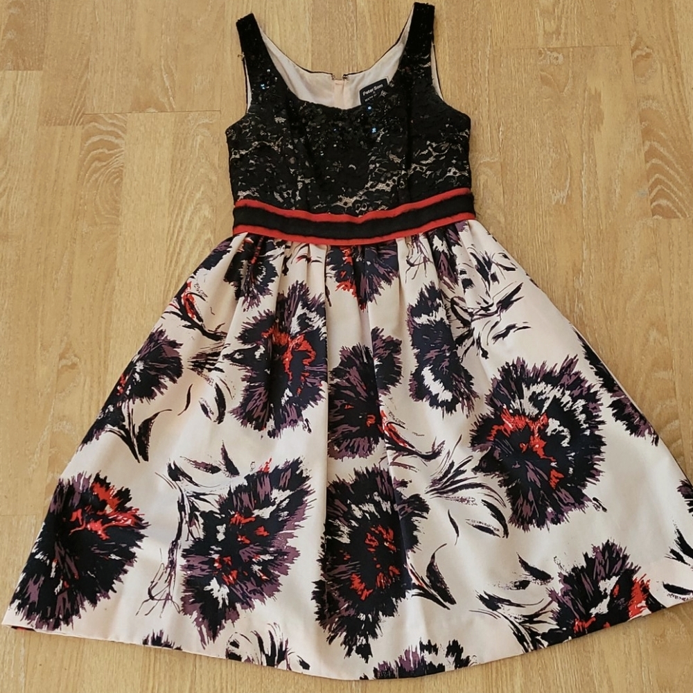 Anthropologie Cotton and Lace Dress